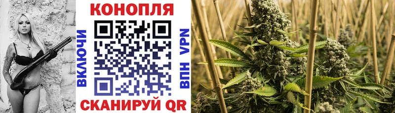 Канабис Ganja  Чадан 